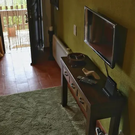 Banyan Tree * 奥比多斯