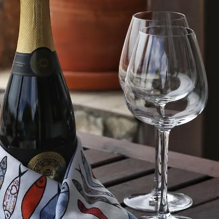 Banyan Tree 奥比多斯