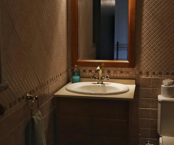 Banyan Tree * Obidos