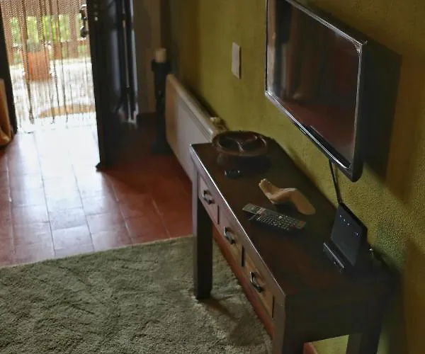 Banyan Tree * Obidos